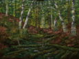 0019_waldstueck.jpg