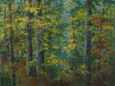 0010_harzwald_II.jpg