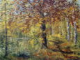 0074_weg_am_neuen_teich.jpg