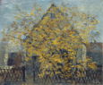 0016_gelber_baum.jpg
