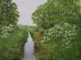 0096_Holunder.jpg