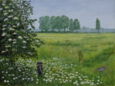 0101_Luchwiese.jpg